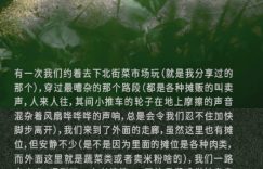 “左航庆生被吐槽，评论区翻车，网友：这操作太傻太坏了”缩略图