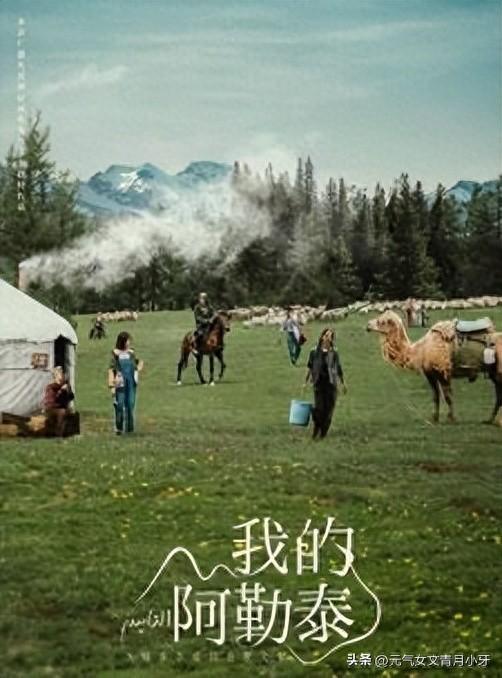 《阿勒泰的故事为啥这么火？这3招真的挺管用》全集百度云网盘【1080P高清】迅雷云盘下载