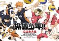 《排球少年》网盘【1280P阿里云盘共享】百度云超清晰画质缩略图