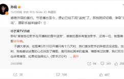孙楠又要上《歌手》啦！总导演洪啸表示感激！缩略图