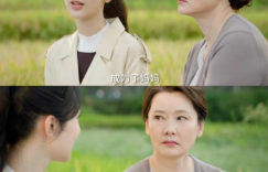 《承欢记》1-37全集下载在线免费观看【高清1080P】资源缩略图