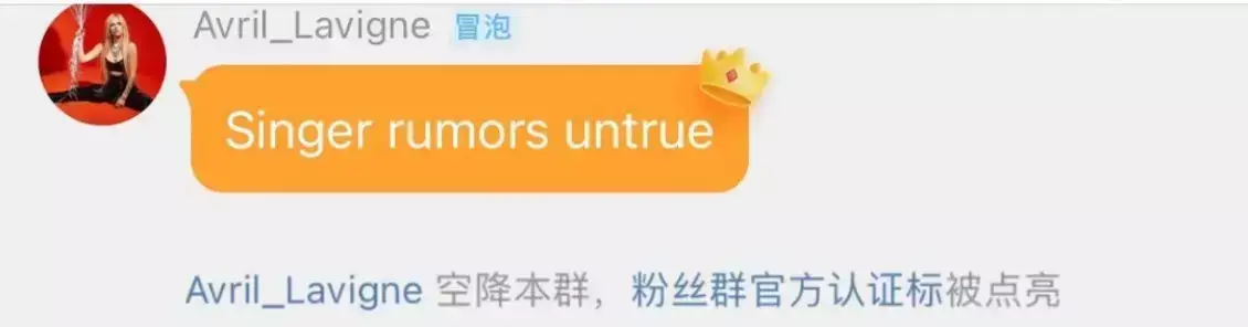 艾薇儿忙巡演，无暇上《歌手》节目缩略图