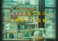 《走走停停》百度云网盘【HD1080粤语中字】高清资源下载缩略图
