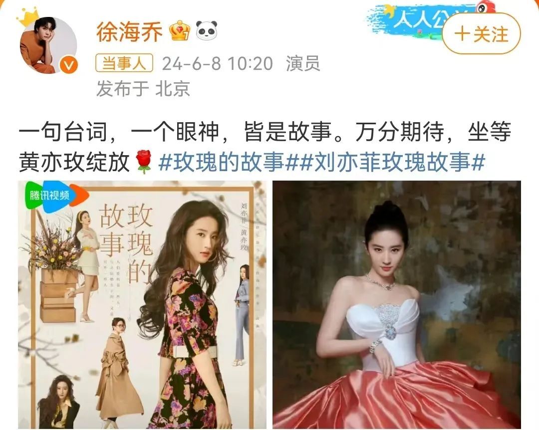 《玫瑰故事》全集百度云网盘（免费中字HD高清）免费资源下载在线分享