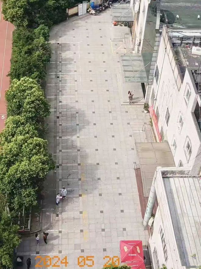 《玫瑰的故事》百度云magnet磁力链接BT种子网盘资源下载