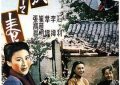聊聊《小城之春》里那些废墟的魔力，感受电影的迷人之处缩略图