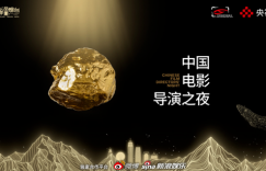 2024年，中国电影导演们的星光盛宴，精彩瞬间大回顾！缩略图