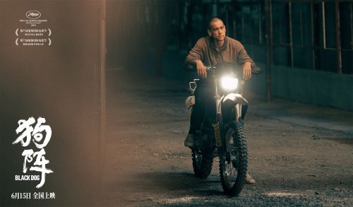 《狗阵》在线免费观看【1080p高清网盘资源】4K高清版