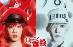《工作细胞》BT下载[BDHD-MP4MKV]百度网盘迅雷种子缩略图