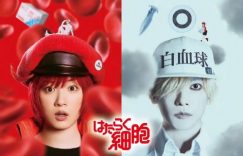 《工作细胞》百度云网盘资源[HD-MP4][1080P高清蓝光版]迅雷下载缩略图