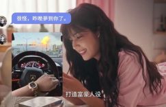 《金猪玉叶》全集百度云阿里云盘【完整HD1080p/MP4中字】云网盘缩略图
