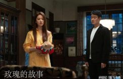 《玫瑰的故事》全集网盘资源下载百度云阿里云盘【完整HD1080p/MP4中字】迅雷下载缩略图