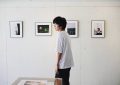 《Unmet》百度云网盘[HD1080p高清]免费资源下载分享缩略图