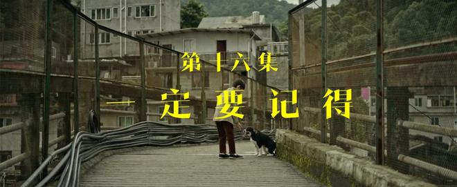 《看不见影子的少年》百度云资源下载【BD1280P高清】云网盘