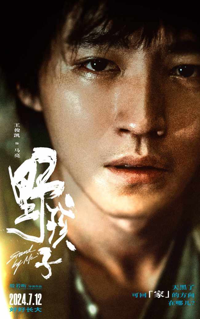 《野孩子》下载链接百度云网盘超清版（HD1280P/泄露-MP4高清原声版）