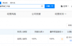 张艺谋告别导演工作室，王璇接棒成新股东缩略图