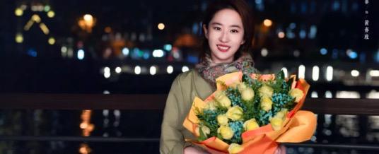《玫瑰的故事》全集百度云BD1024p/1080p/Mp4」免费资源下载分享