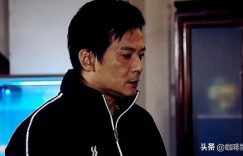 他们就像现代版的郭靖和杨康，一个正义一个邪恶，只不过角色对调了。缩略图