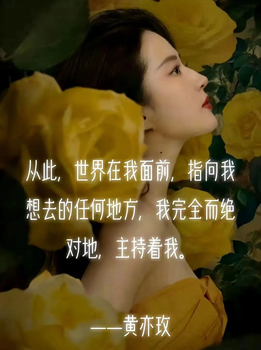 《玫瑰的故事》全集百度网盘资源下载在线观看英语中字「BD720P/夸克网盘-MP4」未删减阿里云盘