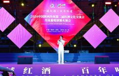 雷升利：用歌声点亮乡村，红酒里唱出深情缩略图