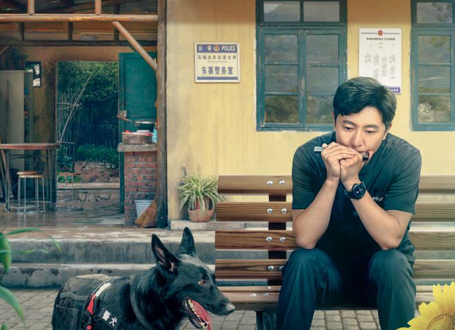 郑晓龙新剧来袭，神仙阵容再聚首，男主演技派又来啦！