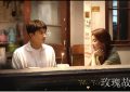 《玫瑰的故事》迅雷BT资源下载[MP4]超清[bd720p1080p]缩略图