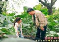 《爸爸是外星人》百度云网盘资源【高清中字】免费磁力链接下载缩略图