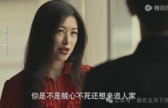 《玫瑰的故事》全集百度云网盘【1080P高清免费】泄露资源下载缩略图