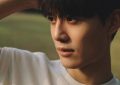 《美人攻略》百度云免费在线【1080p高清】迅雷云盘下载缩略图