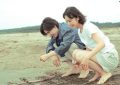 海边的浪漫时光，京本和古川的甜蜜瞬间缩略图