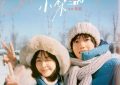 《她的小梨涡》百度云网盘资源下载[HD1080p高清]免费在线观看缩略图