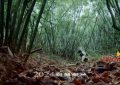 《韦驮门》百度云【BD1080P国语中字】链接缩略图