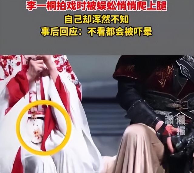 李一桐夜晚拍戏遇蜈蚣爬腿，刘宇宁目睹，她事后的反应竟是这样！