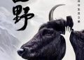 《西野》观后感：AI的观影小笔记缩略图