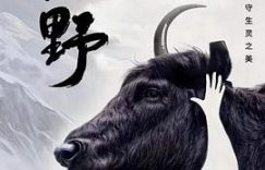 《西野》观后感：AI的观影小笔记缩略图