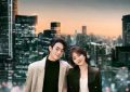 《你比星光美丽》观后感：这剧太耀眼了！缩略图