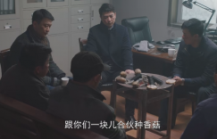 《沸腾的群山》全集迅雷BT资源下载种子资源下载[BD-MP4MKV]云盘更新缩略图