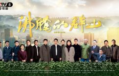 《沸腾的群山》百度云【BD1080P泄露-MP4】手机版下载链接阿里云盘原声版缩略图