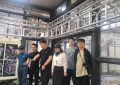 古蜀奇幻之旅：AI短剧带你飞，三星堆的神秘让主创团队大开脑洞！缩略图