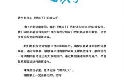 《野孩子》网盘资源在线高清观看【1080P清晰】资源下载缩略图