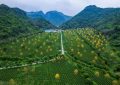 爱的力量：耀东给了铁富两巴掌缩略图