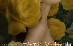 《玫瑰的故事》观后感：人生多美好啊！缩略图