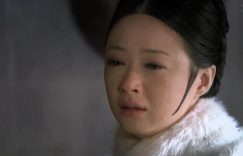 《甄嬛传》全集百度云网盘资源高清下载夸克网盘HD1080P[全网独家]缩略图