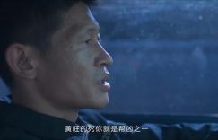 《消失的大象》全集下载在线观看【免费阿里云盘蓝光1280p百度云】网盘资源下载缩略图