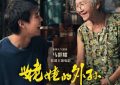 《姥姥的外孙》百度云网盘【蓝光1080P】资源下载缩略图