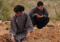 《生万物》全集百度云在线看（HD1280P/泄露-MKV）泄漏版阿里网盘资源下载缩略图