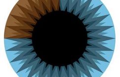 第一季《3Blue 1Brown》：微积分，看它如何被巧妙发明！缩略图