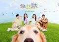 《宠他，还是爱我》百度云【BD1080P高清】【超清】云网盘资源下载缩略图