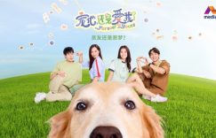 《宠他，还是爱我》百度云【BD1080P高清】【超清】云网盘资源下载缩略图