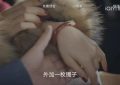 周知非的狡猾一石四鸟，区昕萍宁折不弯，顾易中的假婚潜入缩略图